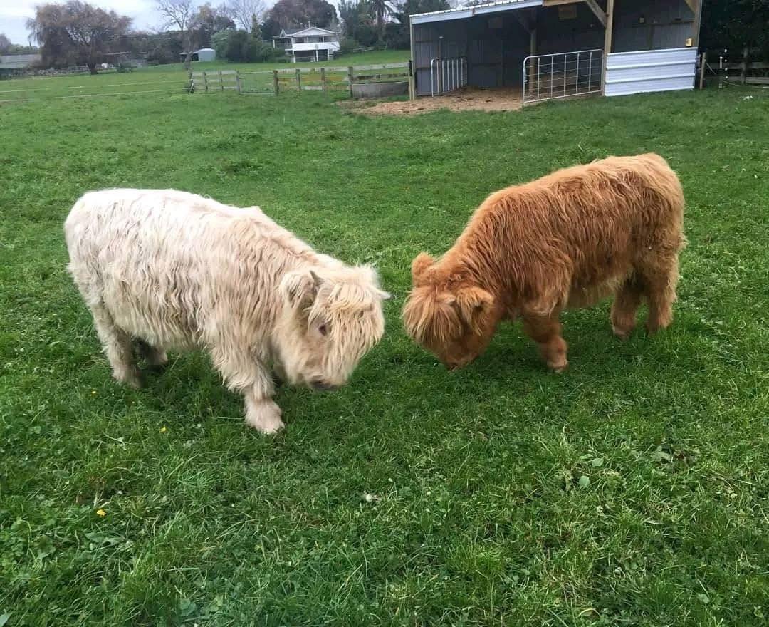 535041916_122130937892895404_1254300923158385846_n