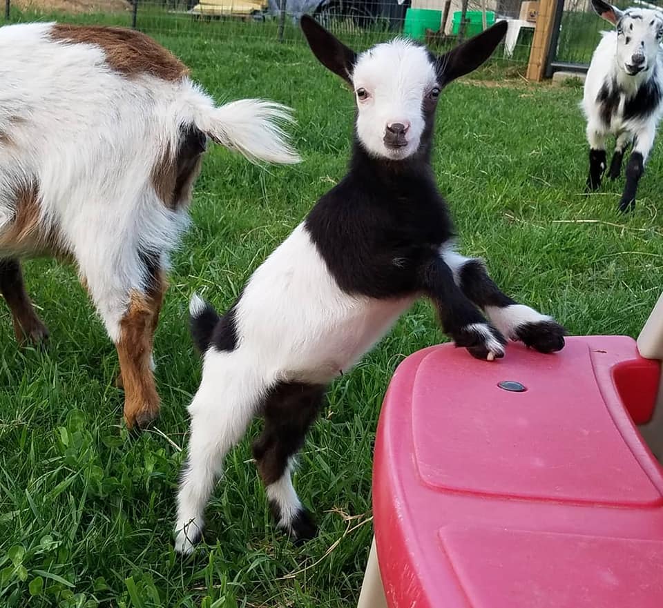 139284201_107773887950520_8723449113992543310_n (1)