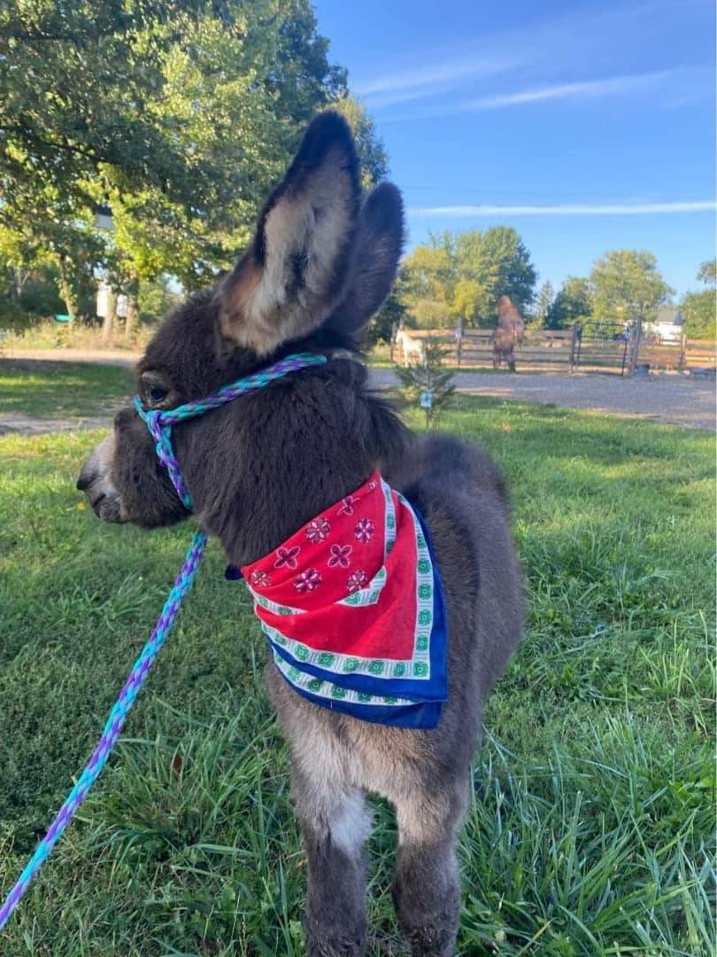 470794549_511144115302803_5861589968333851294_n