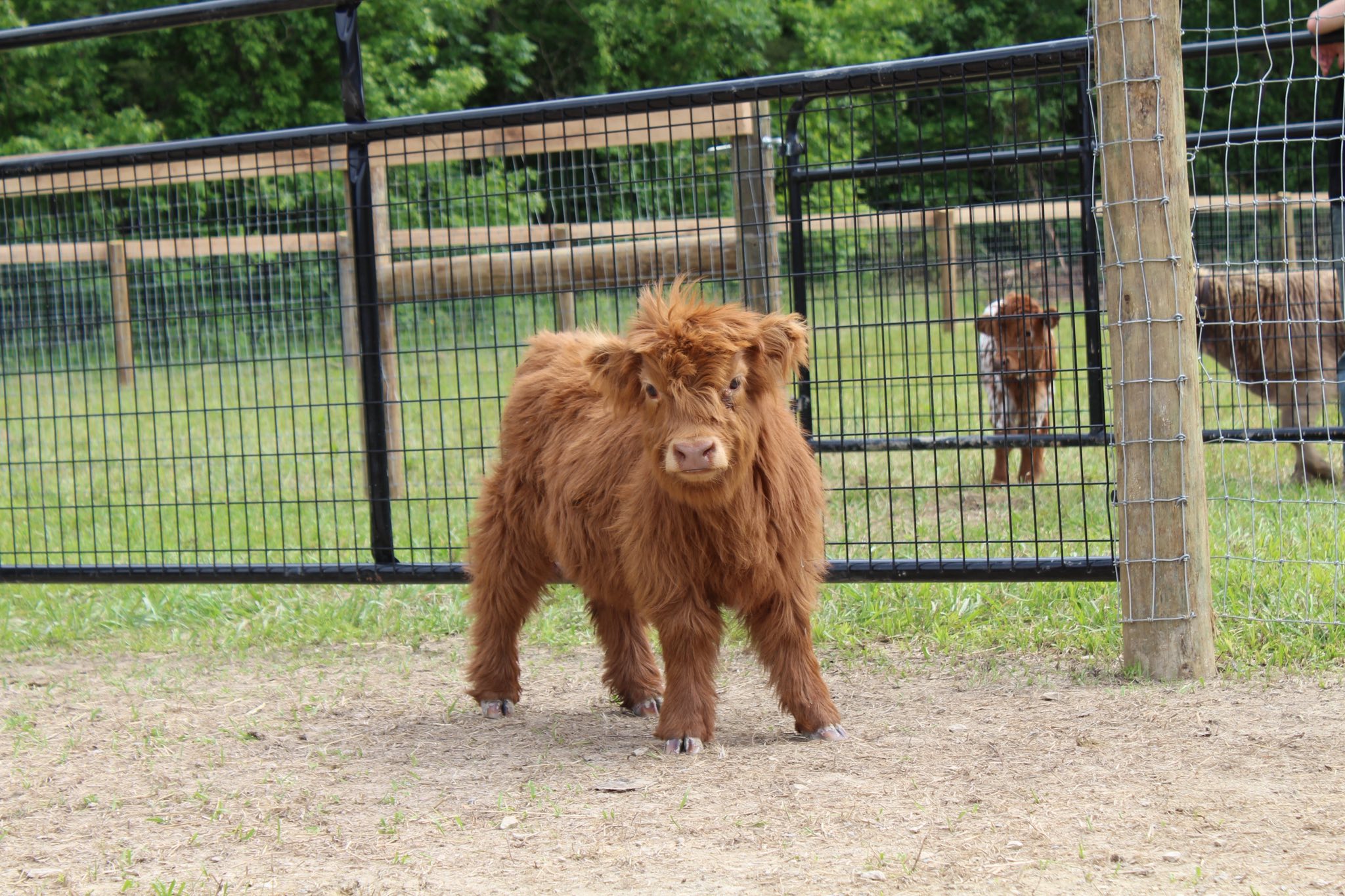 529230447_1475063600408002_7744531030399304203_n