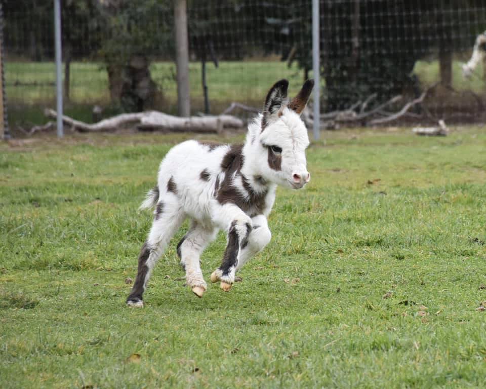 599552992_122146993232648877_7065989354018272292_n (1)