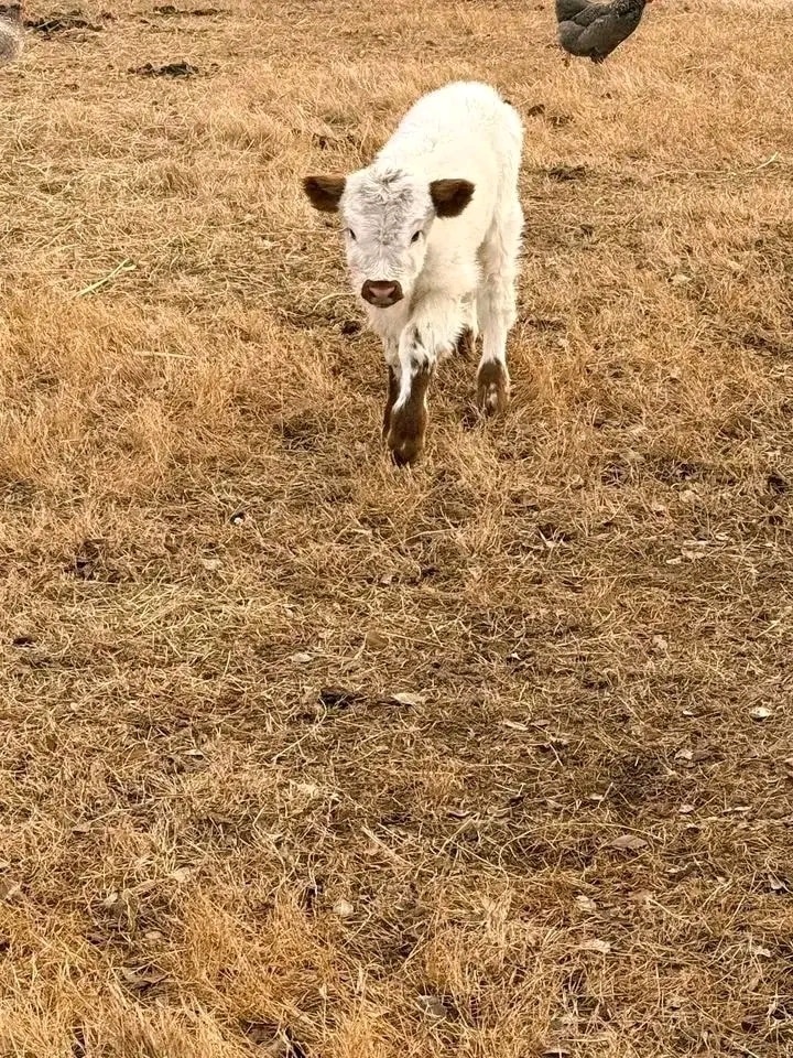 605941813_122094788913196995_1823636759526944243_n