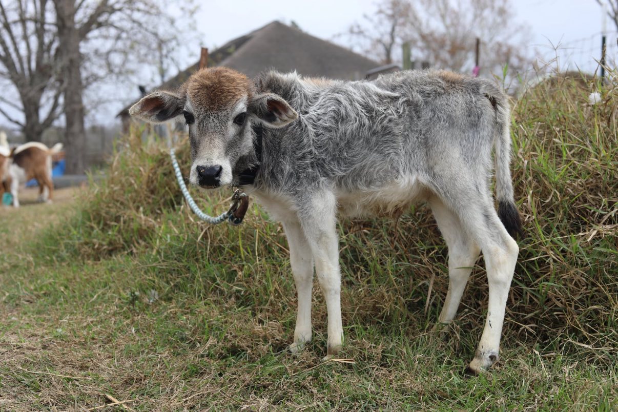 606547999_10239835303691204_2378346335305107226_n