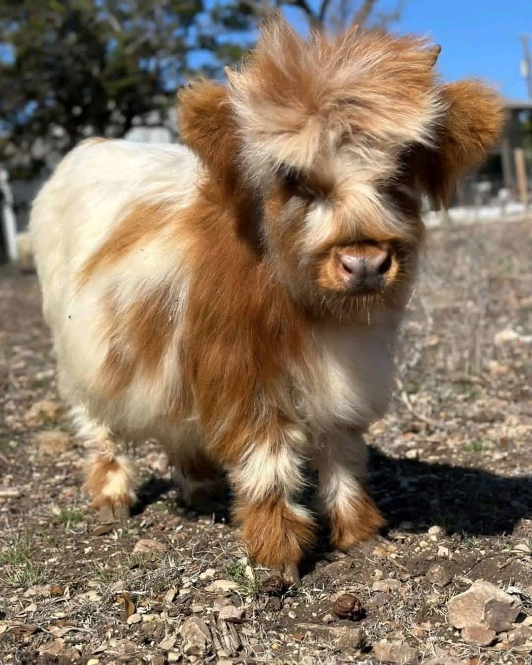 781ac63e-74f9-4eaf-8192-825e4cc2ae2e