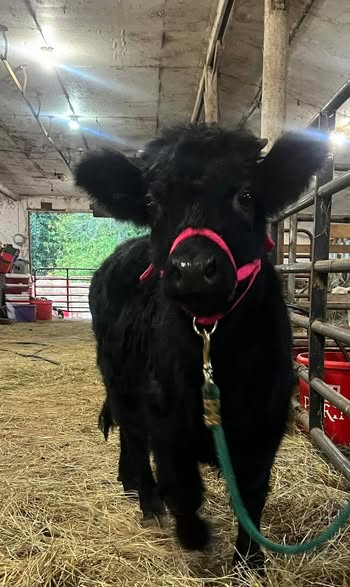 610668974_810355848675560_87841532930090124_n