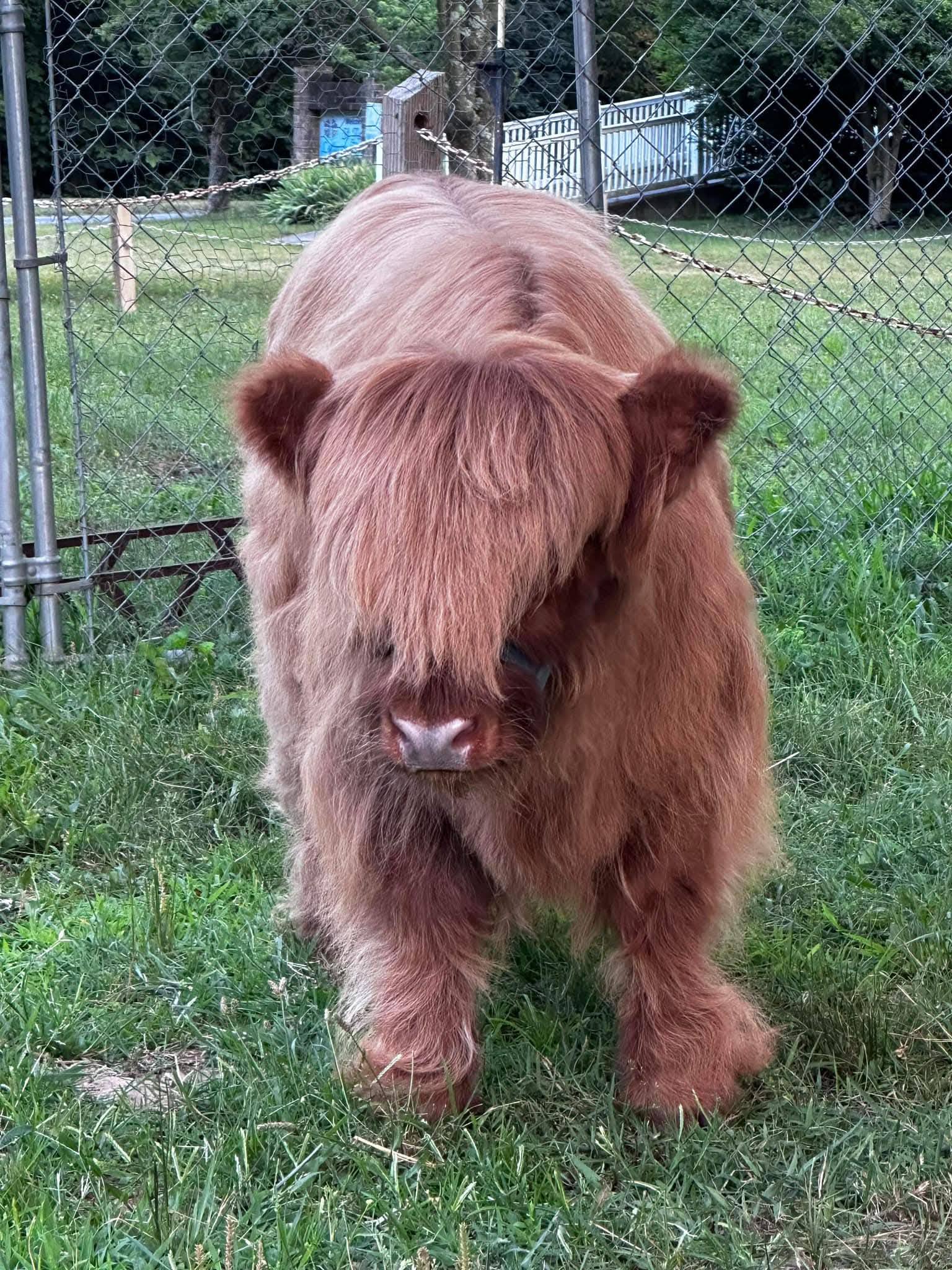 611657383_808936248817520_36871171269691006_n