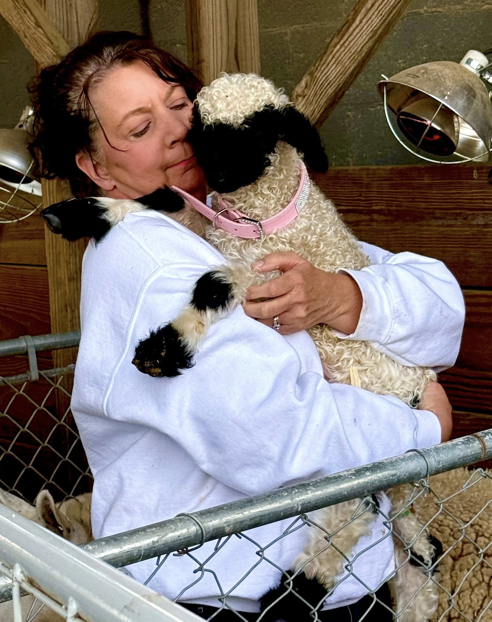 649681282_1375249154405047_7588742164344999444_n - Copy - Copy