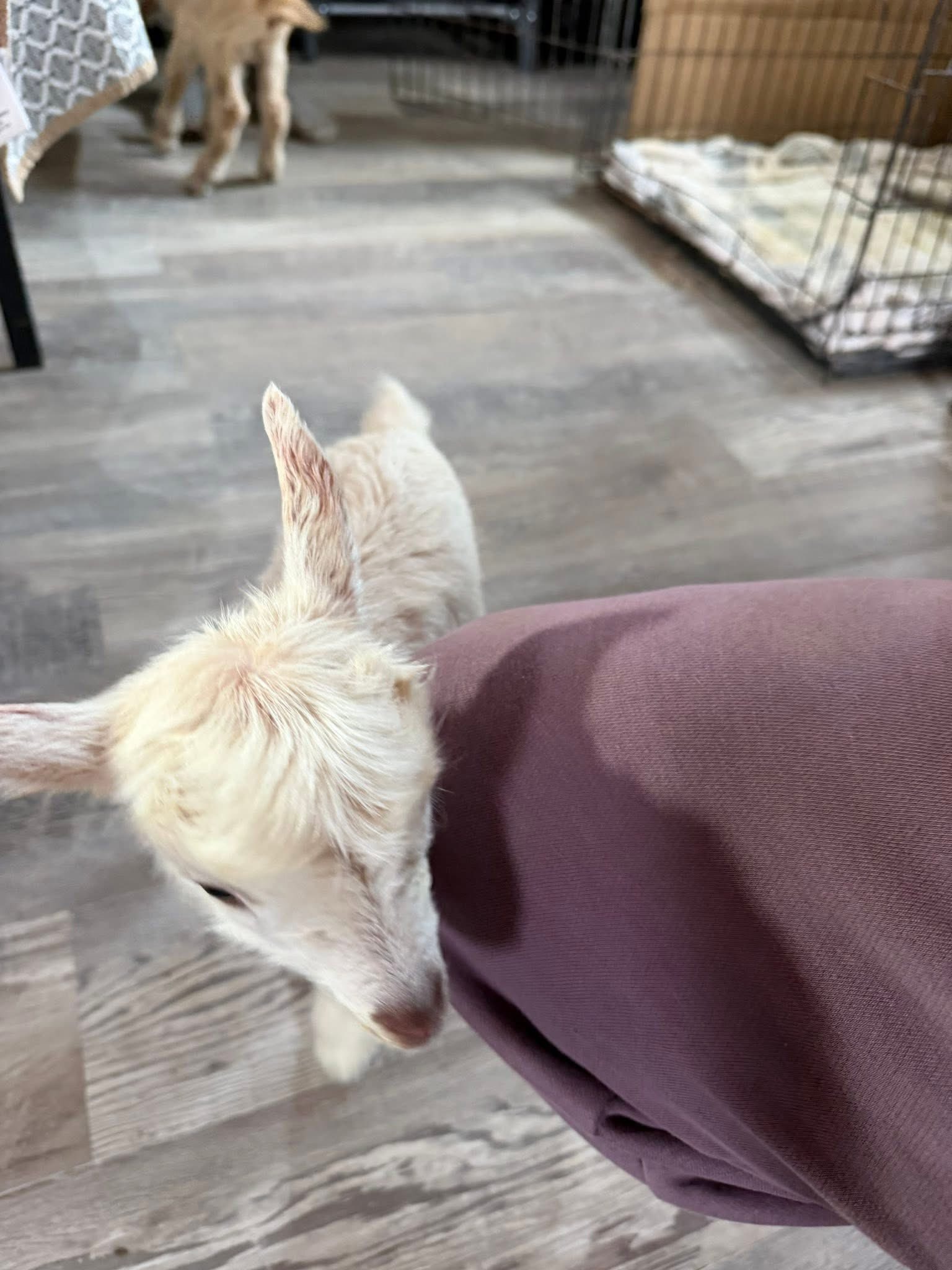 619900157_122112443811183461_7891595996027545694_n