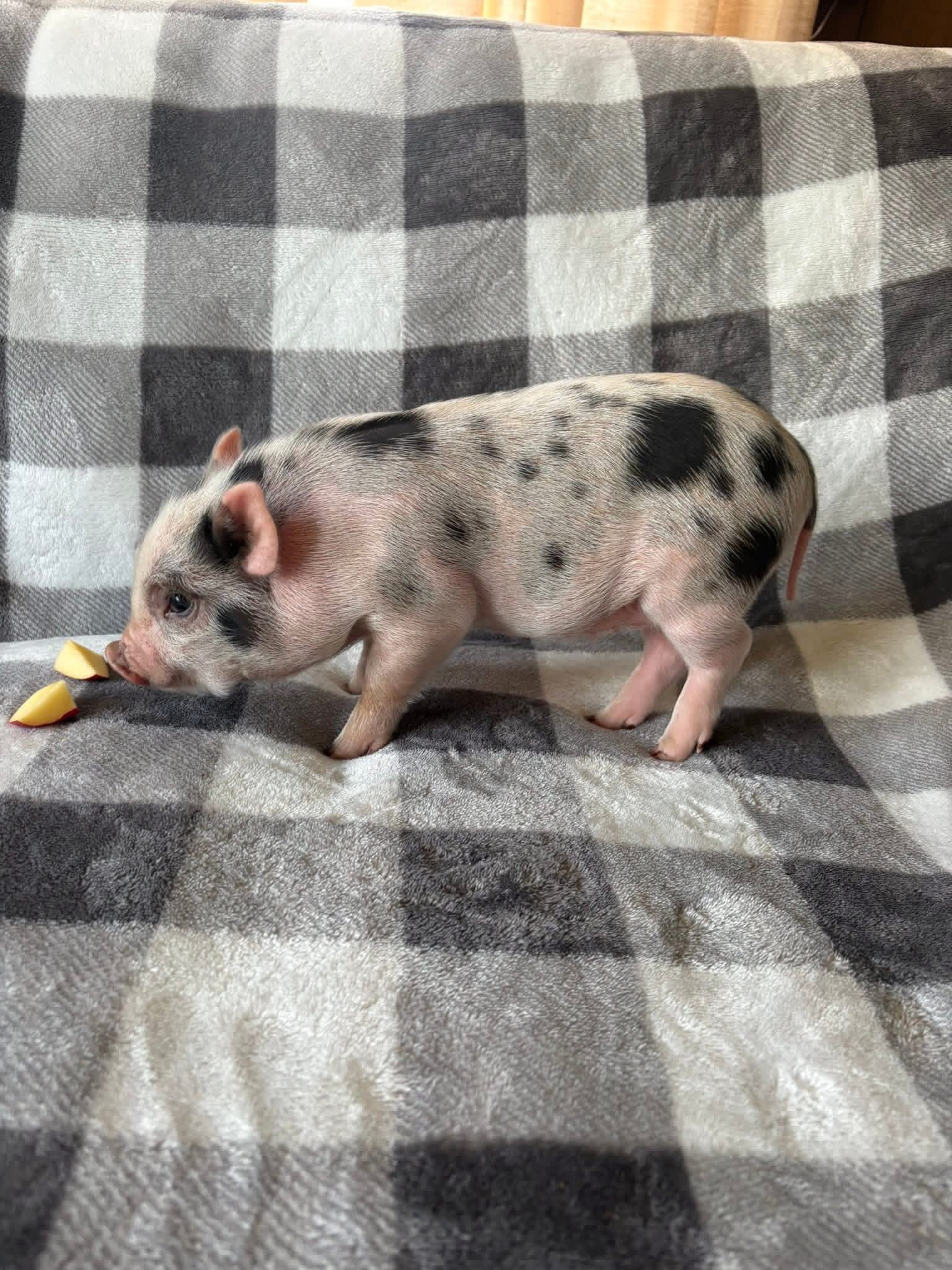 651187984_122118256413167581_3595371013408022783_n