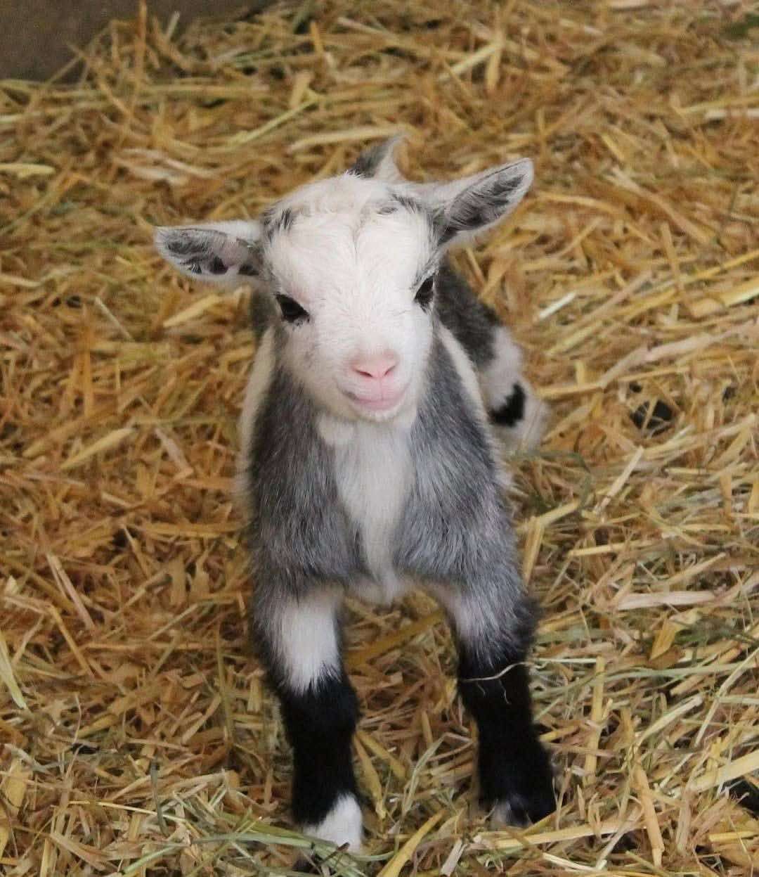 656816928_870552979363166_3508522062896992788_n